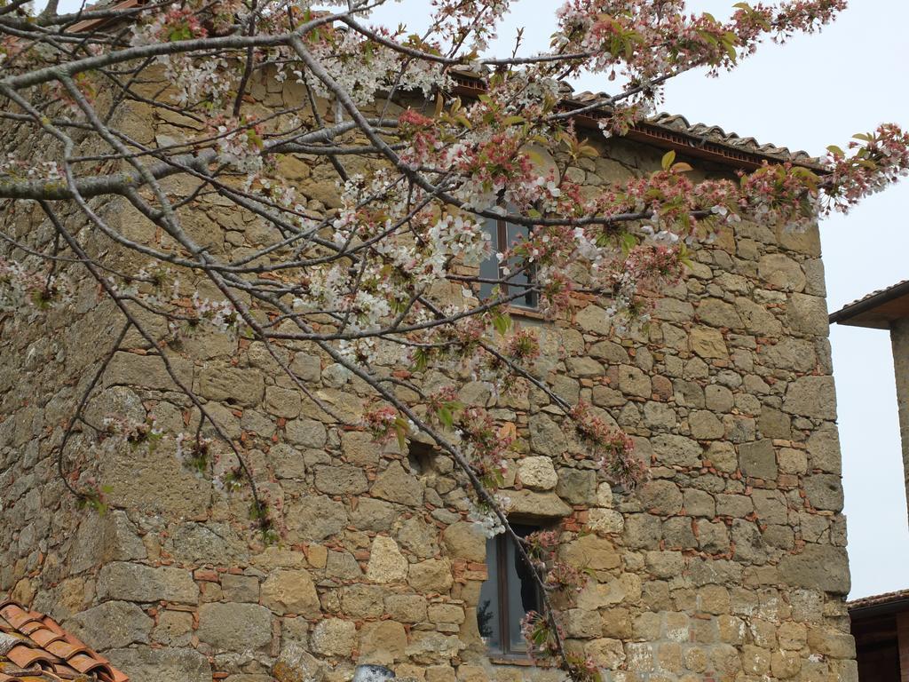 Agriturismo Riposati Monticchiello Exterior foto